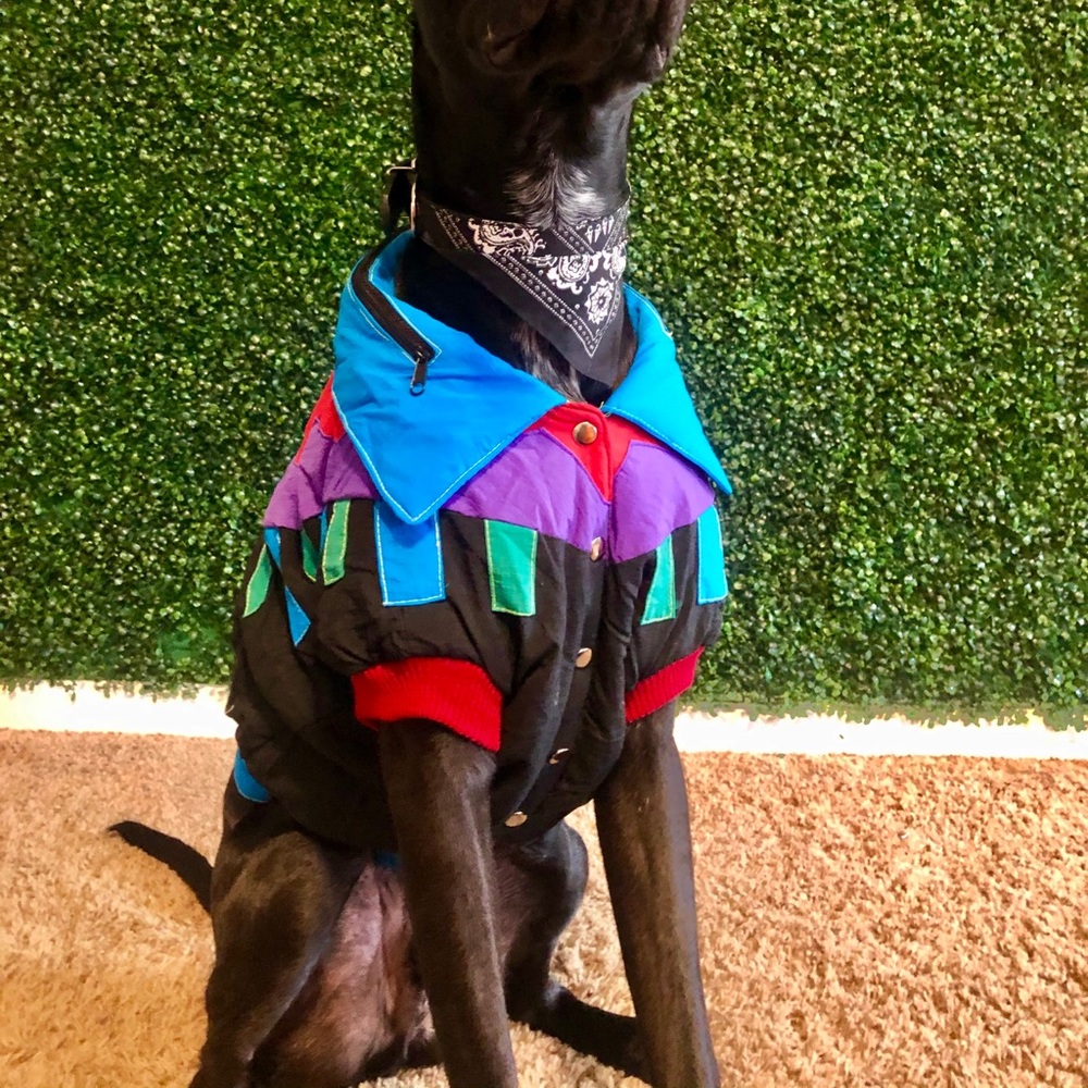 🐾Retro Doggy Jacket 🐾